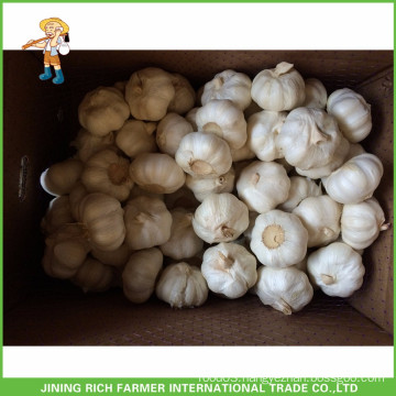 Fresh Style New Crop Fresh Garlic Pure White Garlic 5.5cm